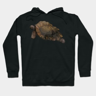 Tortoise Hoodie